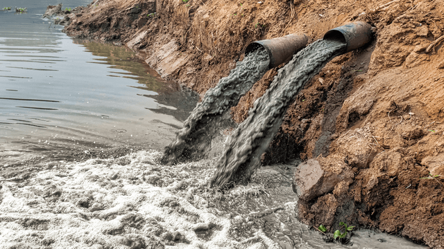 Climate change and environmental impacts