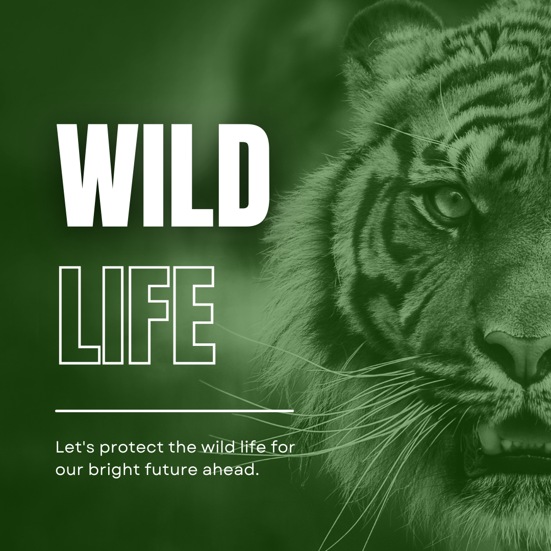 Animal Cruelty Awareness