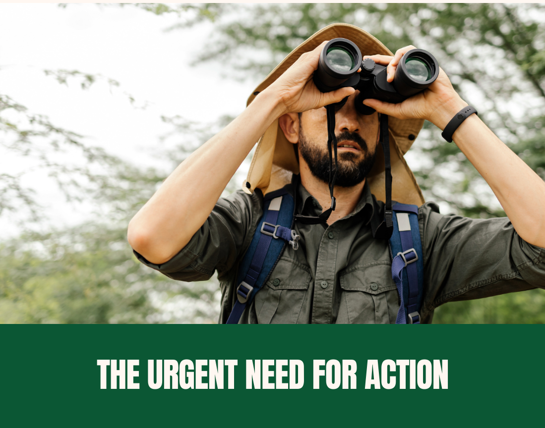 Conservation Efforts