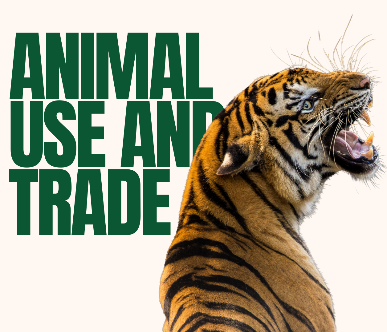 Animal Use & Trade